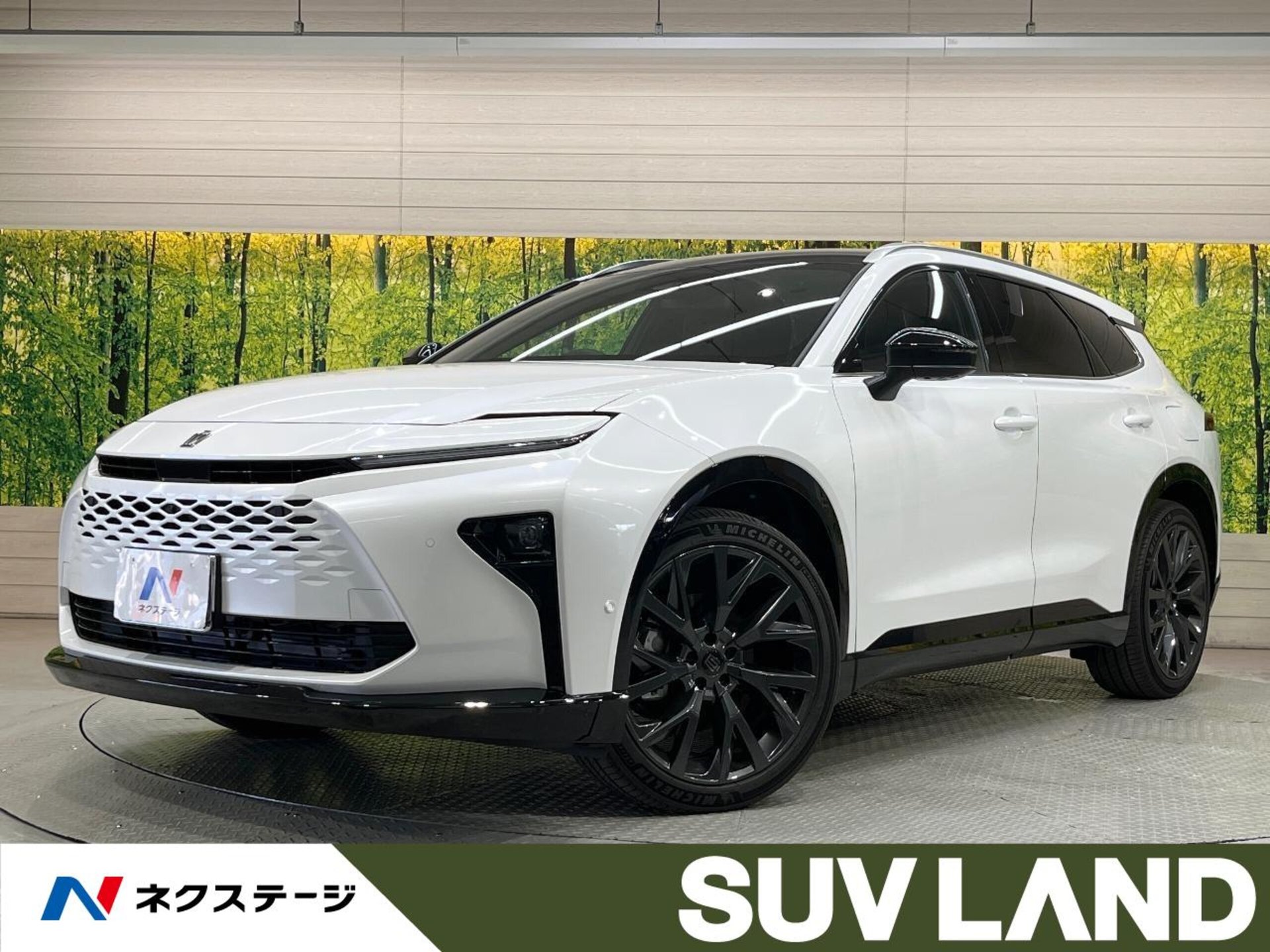 TOYOTA CROWN ESTATE - View 1