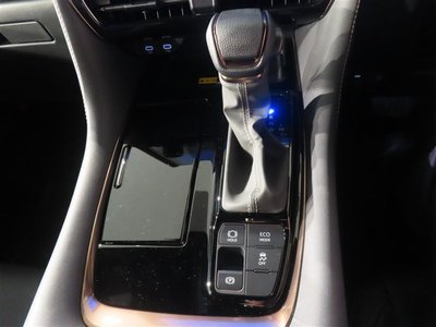 2025 Toyota ALPHARD photo 9