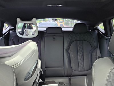 2024 BMW X6 — миниатюра 11