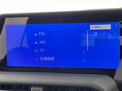 TOYOTA LAND CRUISER 250 - 5