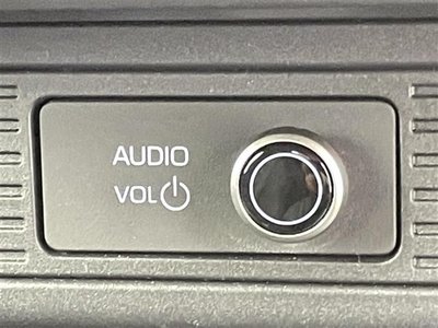 TOYOTA LAND CRUISER 250 - 10