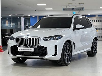 BMW X5 - 1