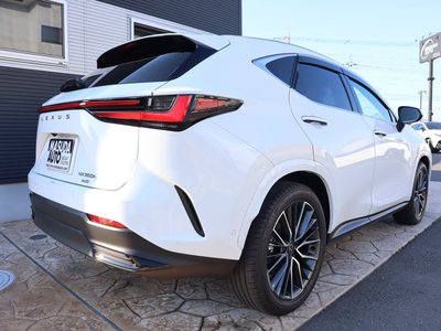2025 Lexus NX — фото 7