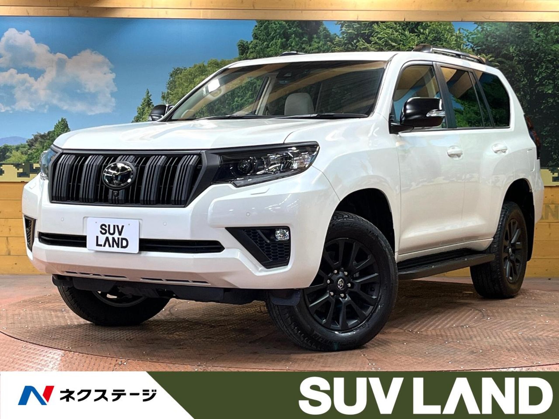 TOYOTA LAND CRUISER PRADO - View 1