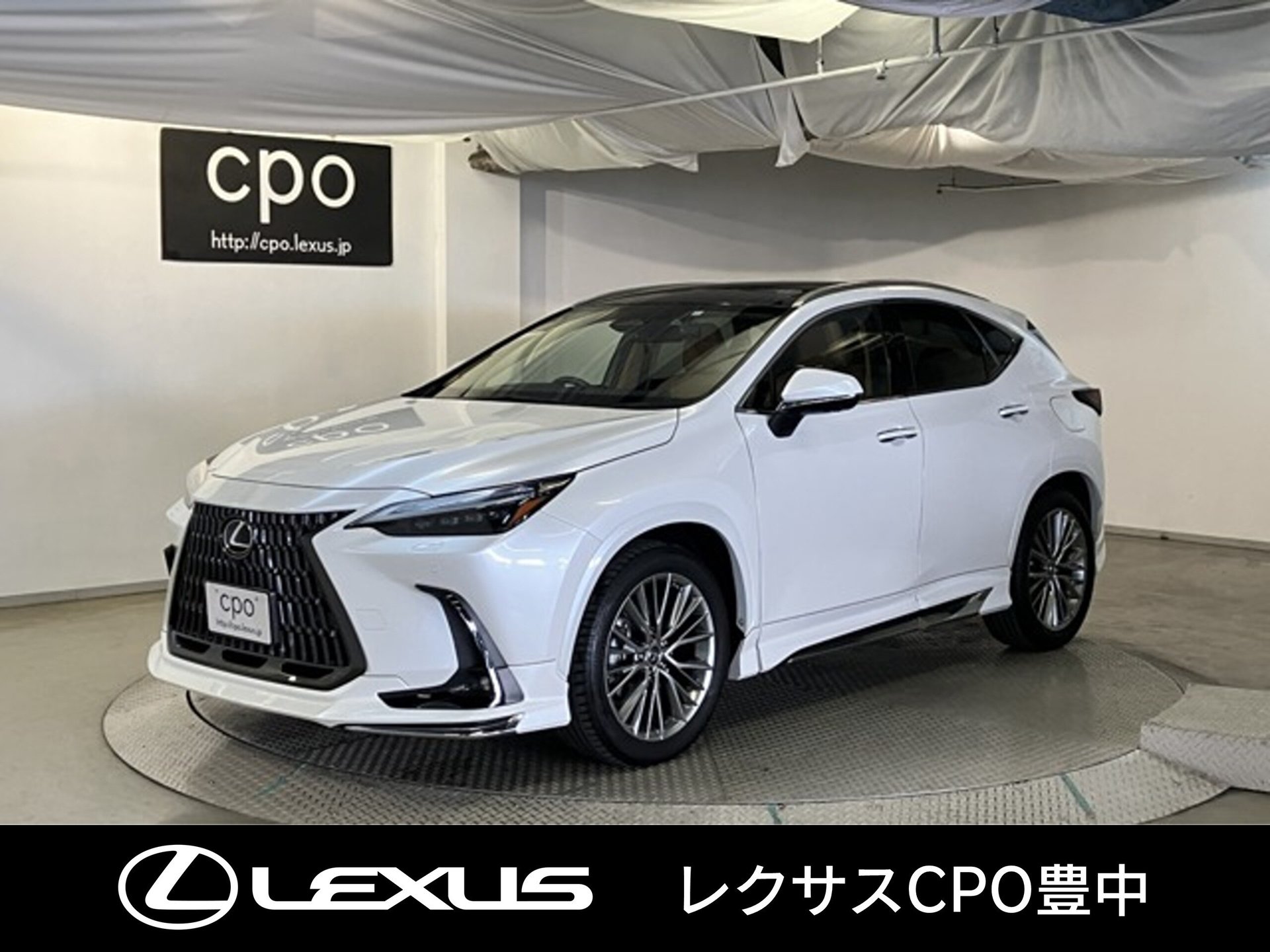LEXUS NX - View 1