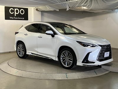 LEXUS NX - 10