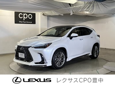 LEXUS NX - 1