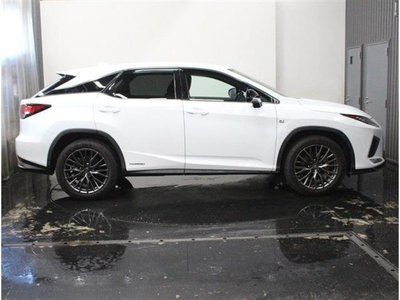 2021 Lexus RX 缩略图 13