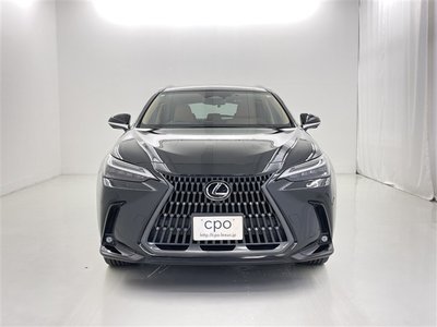 2023 Lexus NX — миниатюра 16