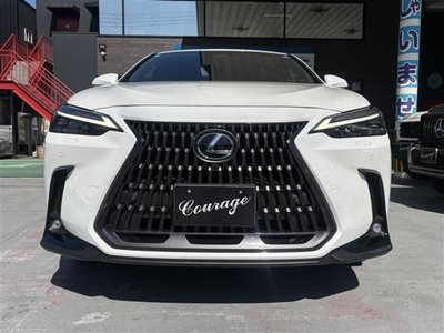 LEXUS NX - 6