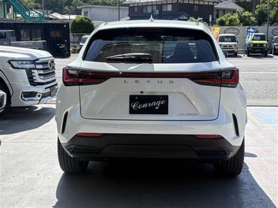 LEXUS NX - 10