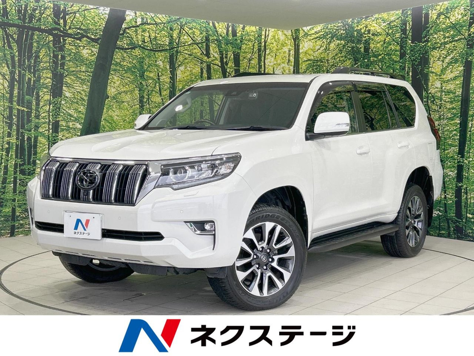 TOYOTA LAND CRUISER PRADO - View 1