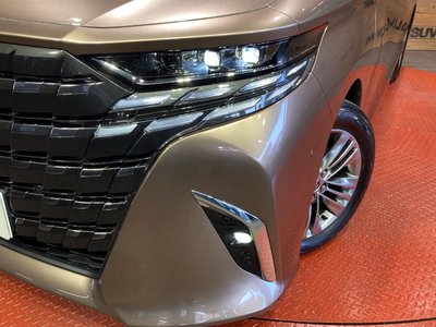 2026 Toyota ALPHARD thumbnail 13