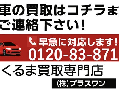 TOYOTA LAND CRUISER 300 - 3