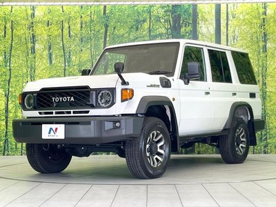 2025 Toyota LAND CRUISER 70 — миниатюра 14