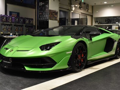 LAMBORGHINI AVENTADOR ROADSTER