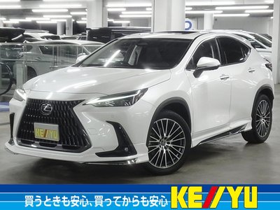 2022 Lexus NX 照片 1