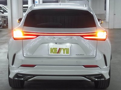 2022 Lexus NX 照片 10