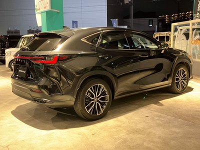LEXUS NX - 6