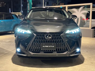 LEXUS NX - 10