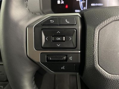 TOYOTA LAND CRUISER 250 - 10