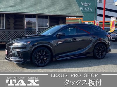 LEXUS RX - 2