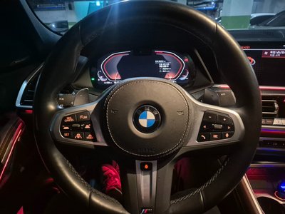 2023 BMW X6 照片 10