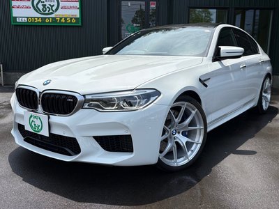 2018 BMW M5 照片 2