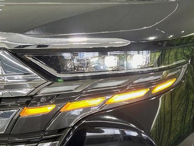 2024 Toyota ALPHARD thumbnail 25