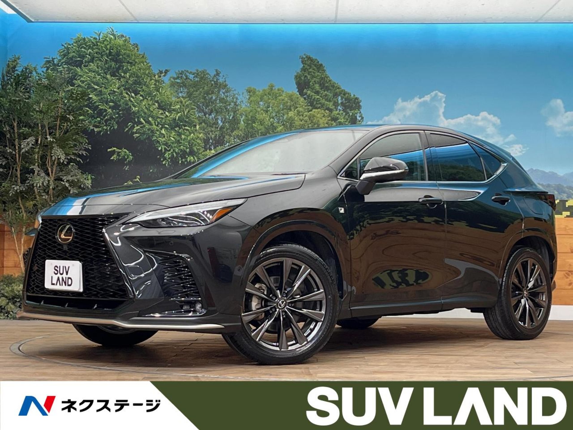 LEXUS NX - View 1