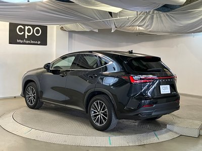 LEXUS NX - 8