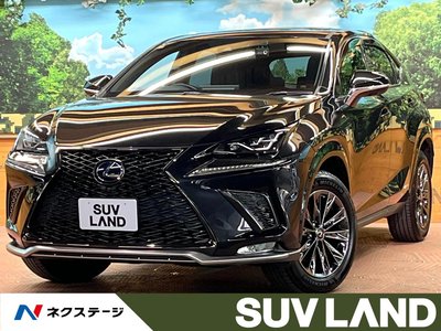 LEXUS NX - 1