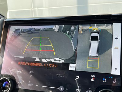 2025 Toyota ALPHARD 缩略图 21