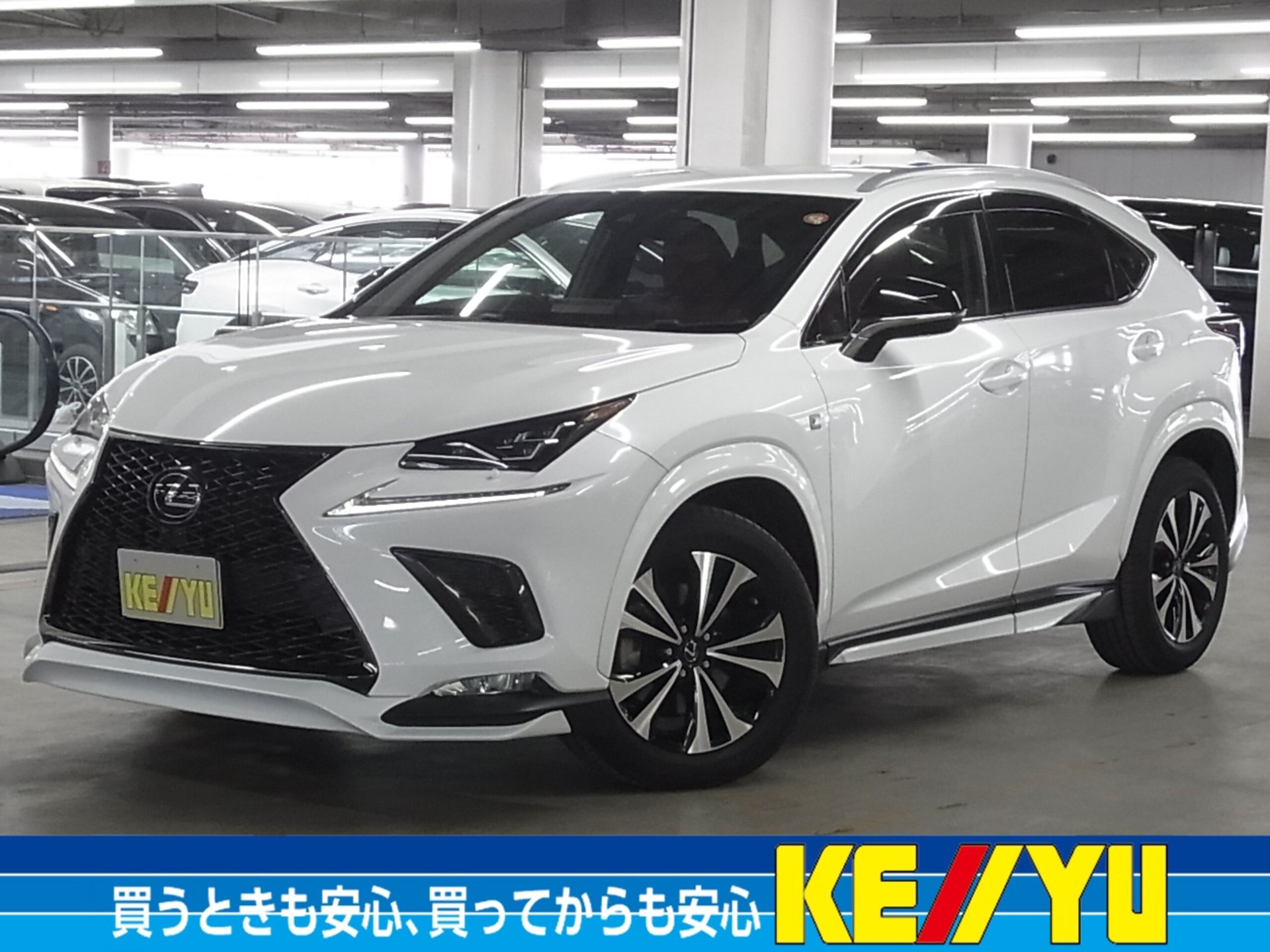 LEXUS NX - View 1
