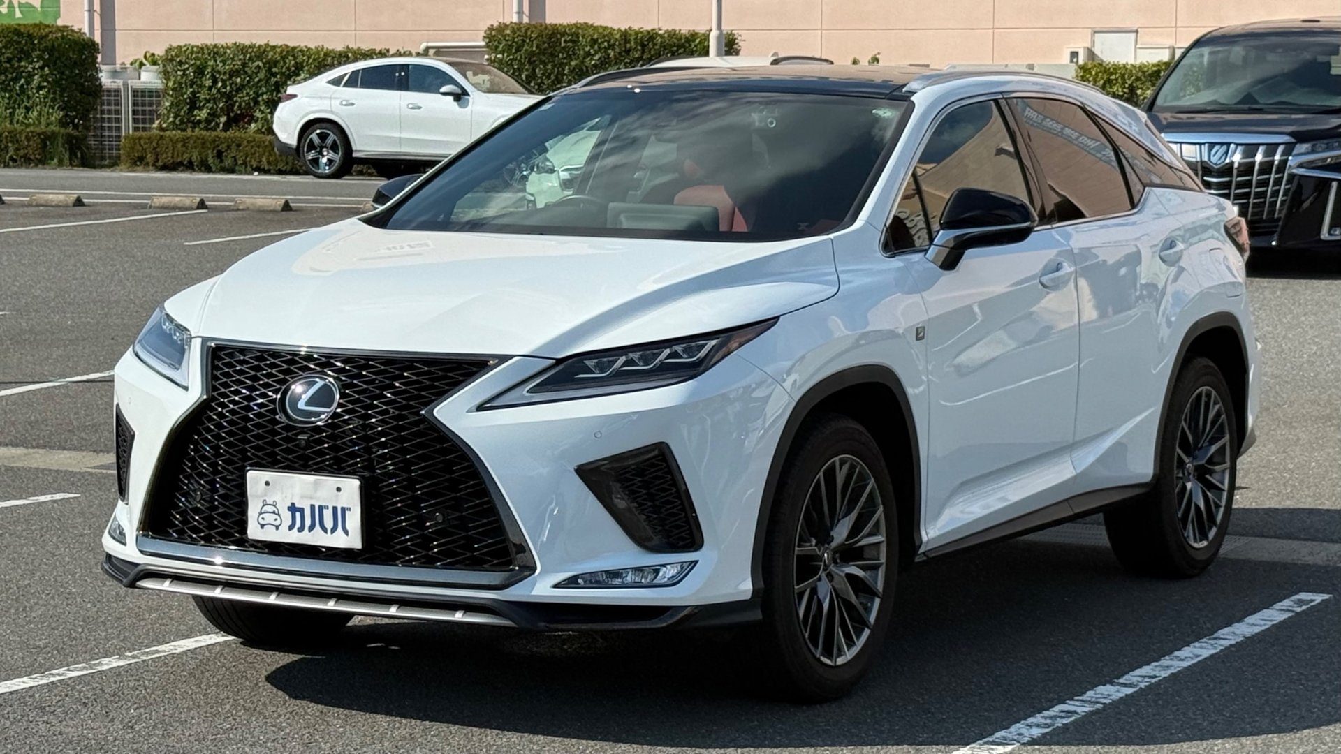 LEXUS RX F SPORT - View 1