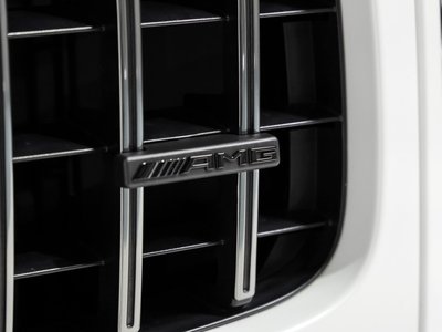 2023 Mercedes-BENZ G-CLASS AMG 缩略图 18