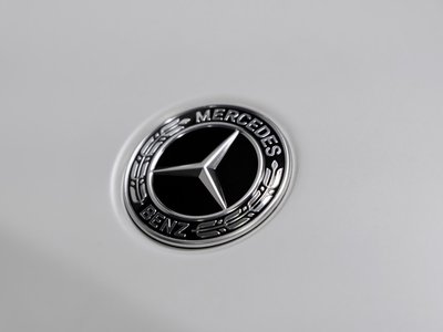 2023 Mercedes-BENZ G-CLASS AMG 缩略图 21