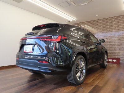 LEXUS NX - 4