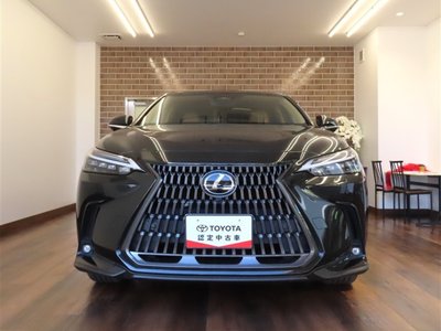 LEXUS NX - 2