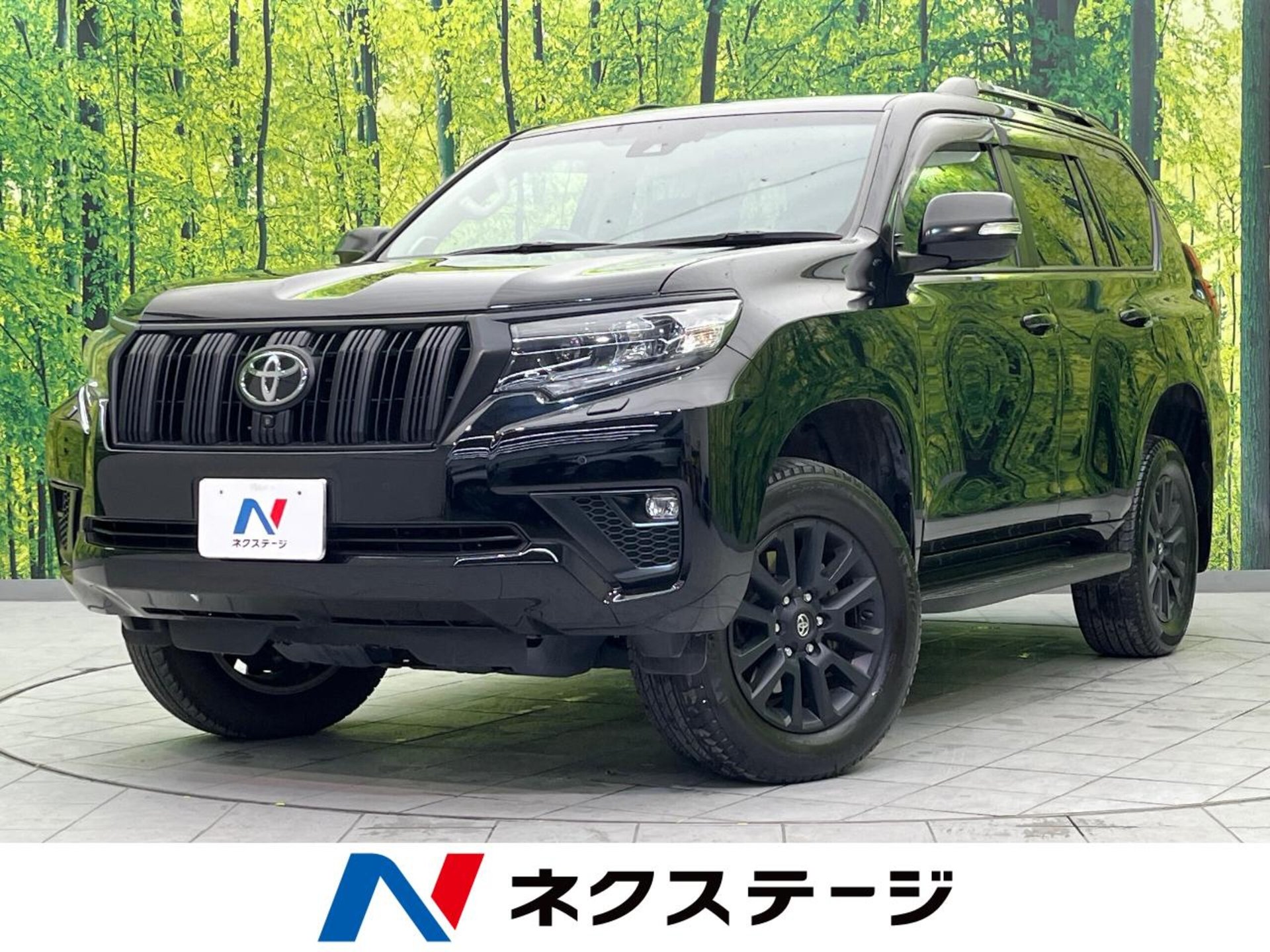 TOYOTA LAND CRUISER PRADO - View 1