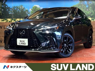 LEXUS NX - 1