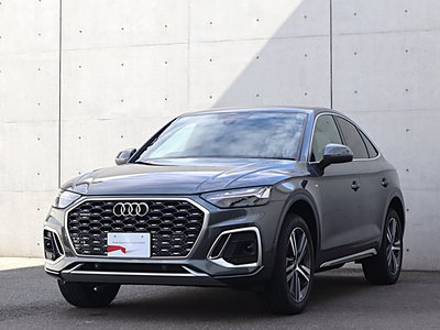 2025 AUDI Q5 SPORTBACK — миниатюра 42
