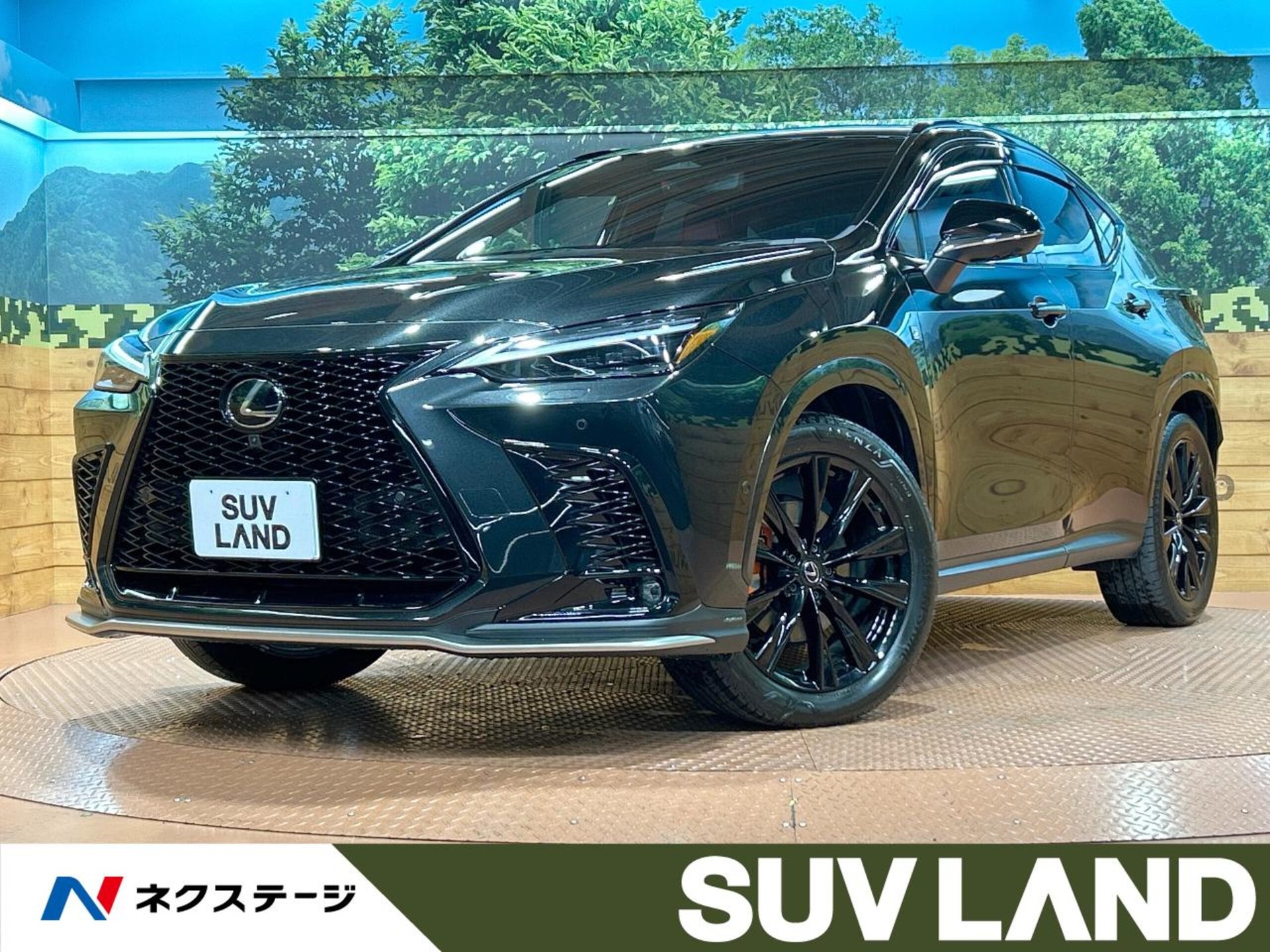 LEXUS NX - View 1