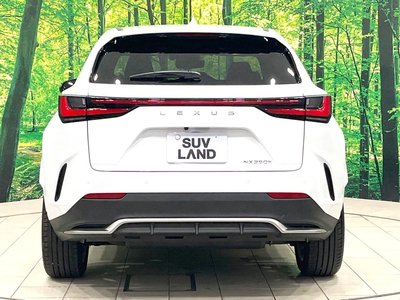 2025 Lexus NX 缩略图 16