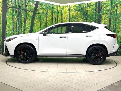 2025 Lexus NX 缩略图 26