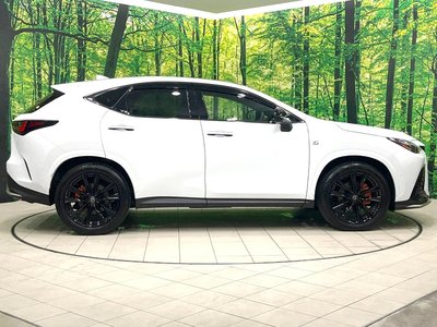2025 Lexus NX 缩略图 28