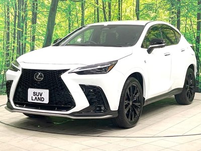 2025 Lexus NX 缩略图 25