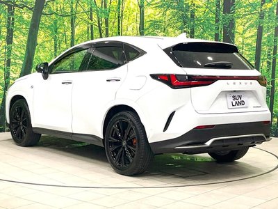 2025 Lexus NX 缩略图 27
