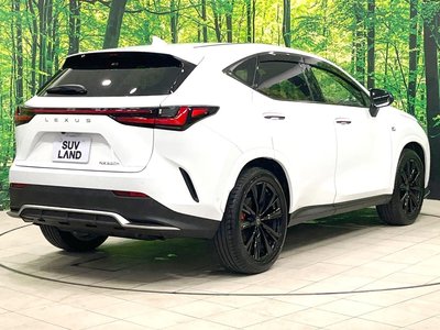 2025 Lexus NX 缩略图 18