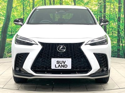 2025 Lexus NX 缩略图 15